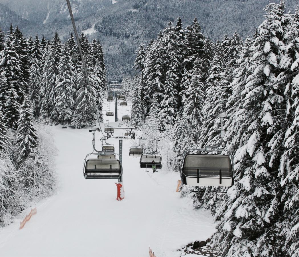 Muehlradl Apartments Gosau Exterior foto